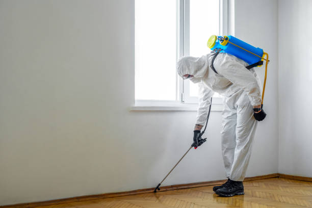 Best Termite Control Services  in Grandview, WA