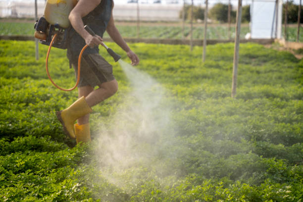 Best Emergency Pest Control  in Grandview, WA