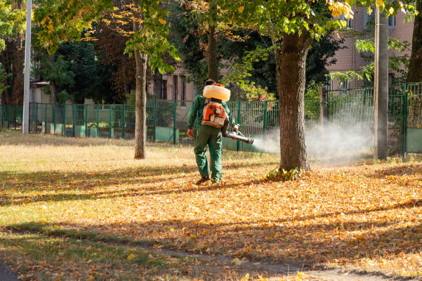 Best Affordable Pest Control Services  in Grandview, WA