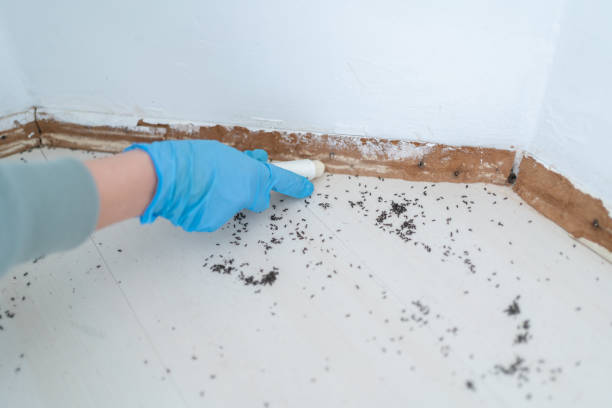 Wildlife Control Services in Grandview, WA